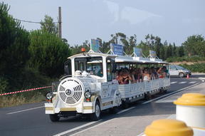 Navette gratuite,d�part toutes les heures � 300 m�tres du camping de 10hres � minuit