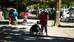 concours de p�tanque au camping al sol d'argeles sur mer