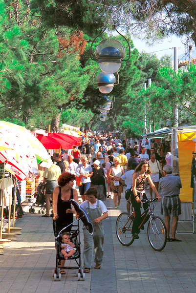 The all�e des pins in Argel�s-sur-Mer.