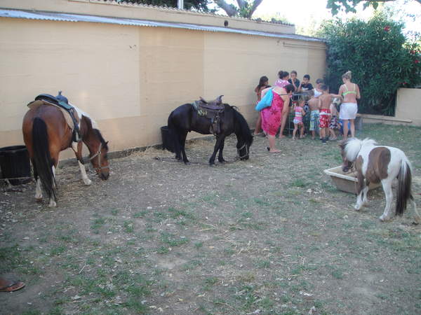 activit�es poney