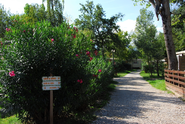 All�e du camping al sol