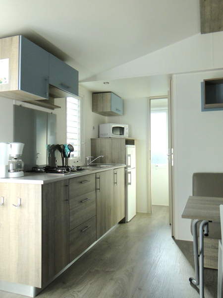 Mobil home grand confort avec pergola